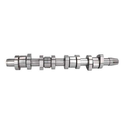006 304 albero a - 006,